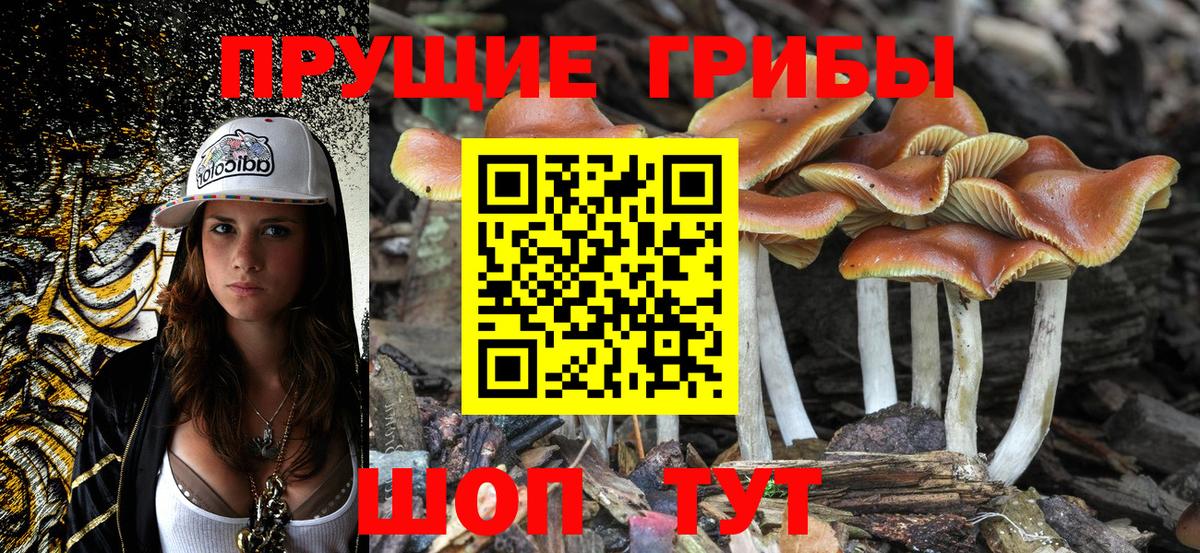 Галлюциногенные грибы мицелий Амурск