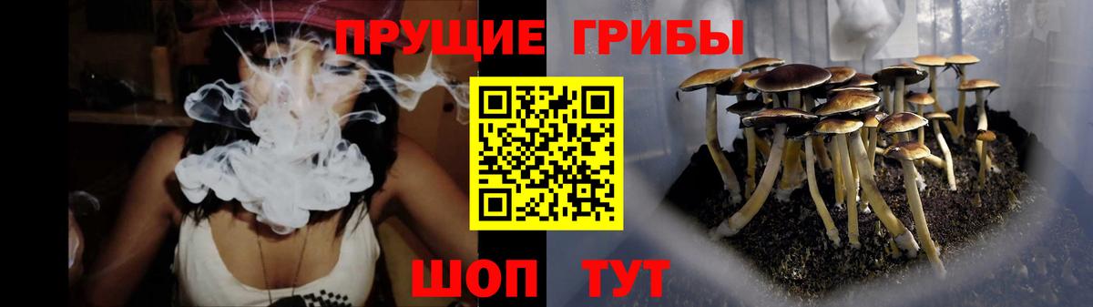 Амурск  Галлюциногенные грибы MAGIC MUSHROOMS  Вход с VPN 